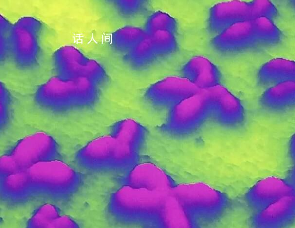 人类Y染色体首次被完全破译 Y染色体是决定性别的染色体
