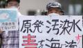 核污水排海最严重影响是致畸 此举会对海洋生物如鱼类产生影响