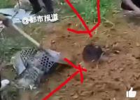 缅甸逃回男子曝出活埋视频 每个礼拜都看到死人