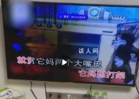 家长吐槽恶改版儿歌教小孩说脏话 网友表示这种儿歌会教坏小孩应该投诉下架