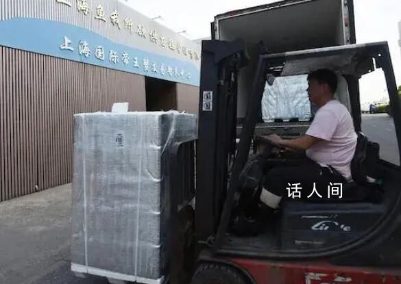 水产品商家:不敢吃海鲜是庸人自扰