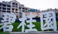实探碧桂园危机中的买房人 信任危机与未来何去何从