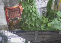 单位回应文旅局干部将女子踹骨折 双方曾有纠纷