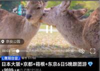 旅企:日本游已开始退团