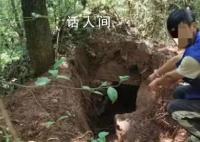 四川男子邀约多人盗墓9处被抓 盗得墓内物品5件