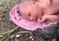 广西一婴儿被装塑料袋遗弃路边 警方和医护人员已第一时间赶到现场