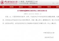 高校女教师擅自离境失去联系被解聘 祝晶个人资料介绍