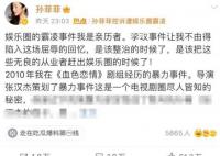 行政处罚书还原孙菲菲被打事件 孙菲菲为什么被剧组打
