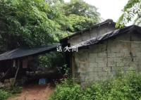 女子称被性侵未立案后自杀 警方复查