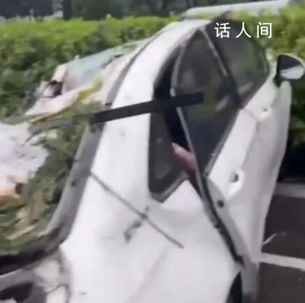 深圳台风吹倒树砸中车辆致1死2伤 提醒：非必要不出门