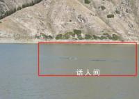天山天池现银色水怪?景区:无法判断