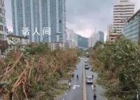 台风破坏力太大会被除名 台风除名规则是什么