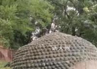 景区回应一男子爬上乐山大佛头顶 警方会依法依规处理此事