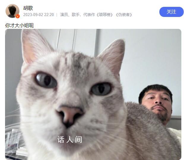 胡歌回应热评:你才大小姐呢