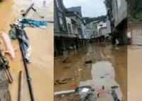 台风致广西强降雨 小猪在水中漂流