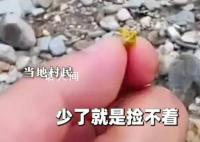 洪水过后出现碎金 村民河道捞金