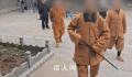 女子称景区拍照被僧人持棍追打 网友：这是元不够了吧