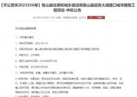 五问715万元“丑”雕塑 施工时间是否早于招标时间