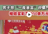 男子诈骗137万元买彩票仅剩6万 已被依法刑事拘留