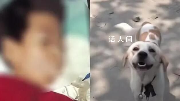 男童被邻居家狗抓伤确诊狂犬病离世 男孩母亲痛哭流涕后悔不已