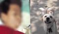 男童被邻居家狗抓伤确诊狂犬病离世 男孩母亲痛哭流涕后悔不已