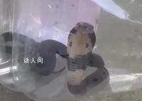 村庄出现上千条眼镜蛇?当地回应