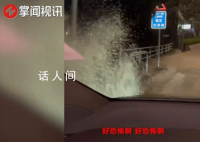 容祖儿香港雨中开车 蔡卓妍害怕大喊