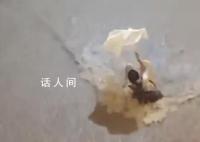 香港遭百年一遇暴雨 女子被狂流冲倒