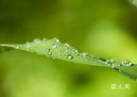 今天白露 一场白露一场霜