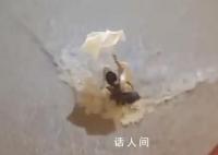香港发黑色暴雨信号 有市民遇险