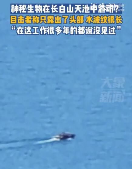 目击者回应长白山天池现神秘生物 在这工作很多年的都说没见过