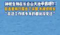 目击者回应长白山天池现神秘生物 在这工作很多年的都说没见过