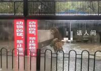 多条广东暴雨相关传言被辟谣 不要轻信
