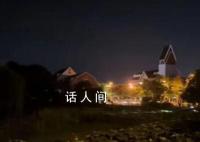 上海车主为躲查酒驾跳湖 警方回应