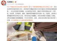 女子胸前腰部绑藏15条活体蛇入境 已移交相关部门处理