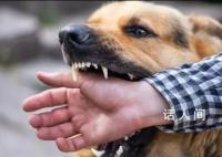 狂犬病潜伏期十几年?专家辟谣