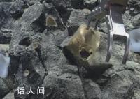 美国科学家在海底发现神秘金蛋 目前它的身份仍未得到确认