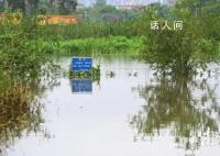 养殖场疑多条鳄鱼出逃 民兵称将击毙