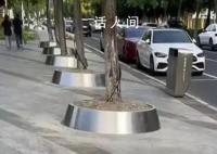 网传杭州全市装不锈钢树盆又拆除 部分树盆是企业个人行为