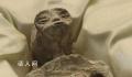 墨西哥国会展出两具“外星人尸体” 样本有一千年的历史