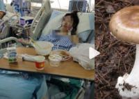 一家7口吃野菇2人死亡2人进ICU 疑为假褐云斑鹅膏