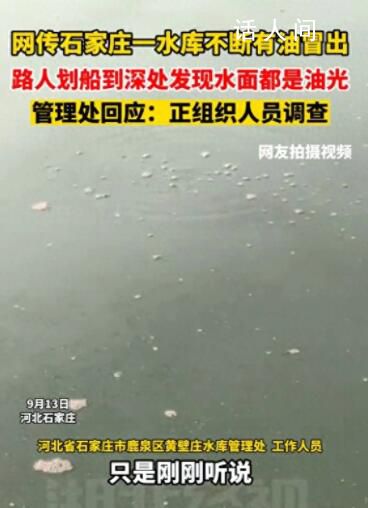 网传石家庄一水库不断有油冒出 具体原因不明