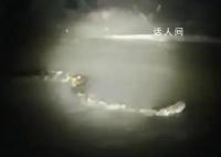 周口河中现巨型“长虫”?当地回应