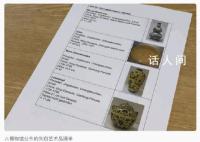 德国博物馆中国明清时代瓷器被盗 价值超过100万欧元