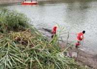 广东鳄鱼暴雨中出逃已抓回36条 目前暂未出现鳄鱼伤人事件