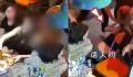 男子强行买单搭讪失败粗暴攻击女子 女子当场呕吐不止