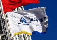 远洋集团:暂停所有境外债务付款