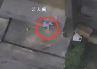 青岛一小区母子3人坠楼 2人身亡