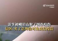 游客被峨眉山猴子围扑咬伤 景区回应