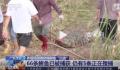 广东已抓回鳄鱼66条 仍有5条搜捕中